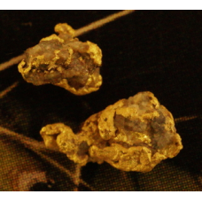 Gold and Quartz Specimens gnmda541