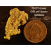 Gold With Quartz Specimen Nugget gnmda547