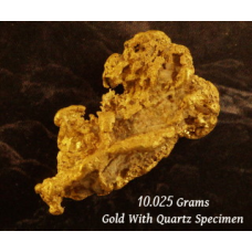 Gold With Quartz Specimen Nugget gnmda547