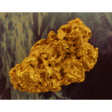 Large Gold Nugget gnm480