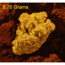 Large Gold Nugget gnm518