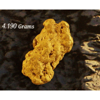 "Big Foot!"  Medium Gold Nugget  gnm535 