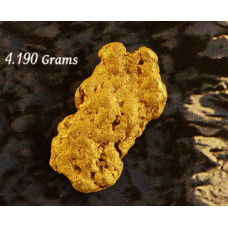"Big Foot!"  Medium Gold Nugget  gnm535 
