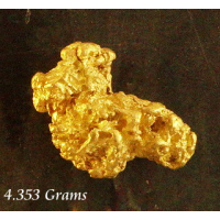 Introducing Harvey! gnm550 Unavailable Introducing Harvey! gnm550 Unavailable