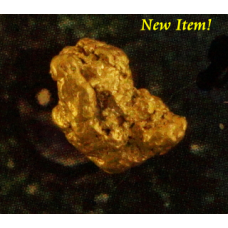 Small Gold Nugget gnm512
