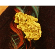 The Golden Buffalo Chip gnm513