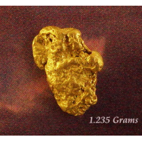 Small Gold Nugget gnm531