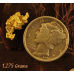 Small Gold Nugget "Thunder Maguggle!"  gnm533