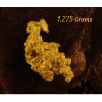 Small Gold Nugget "Thunder Maguggle!"  gnm533