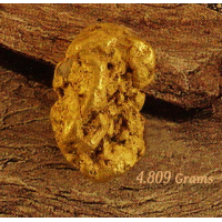 Large Gold Nugget gnm534